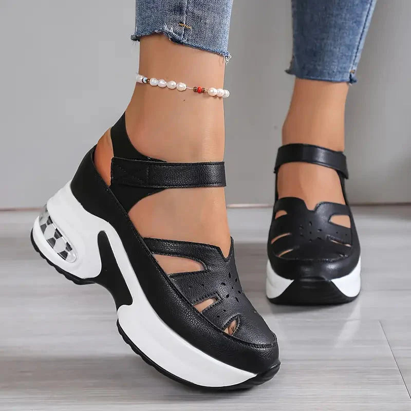 Black / 12