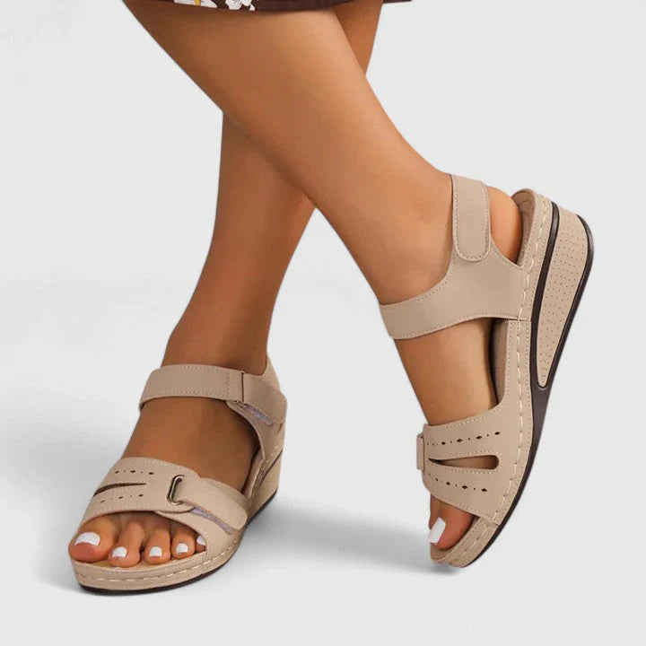 Beige / 12