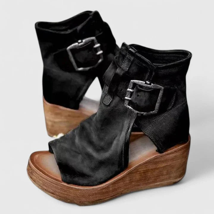 48099444293887