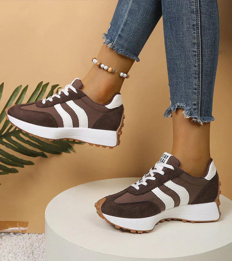 Dark Brown / 12