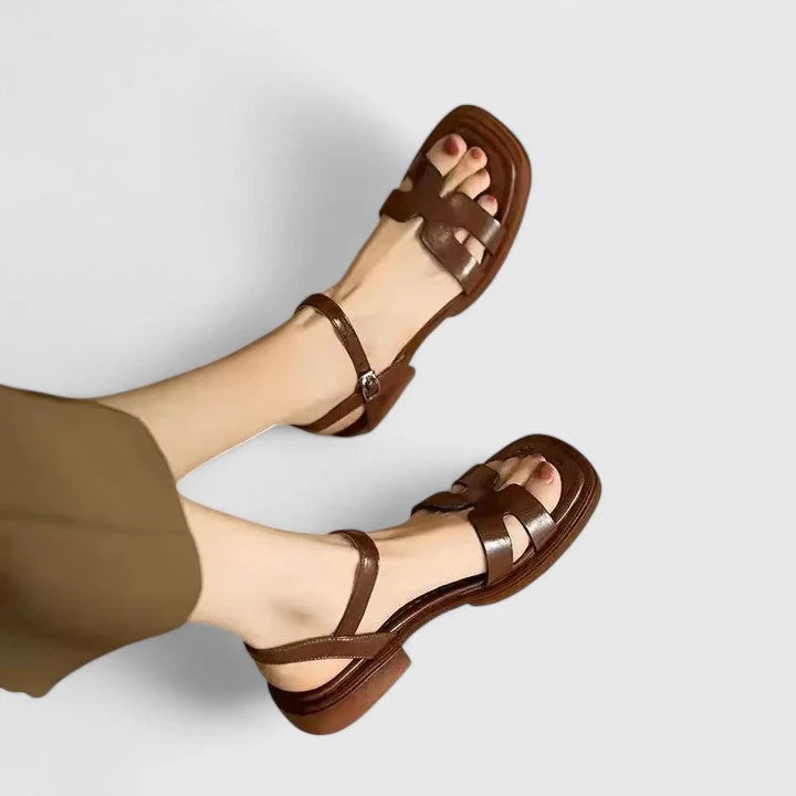 Brown / 12