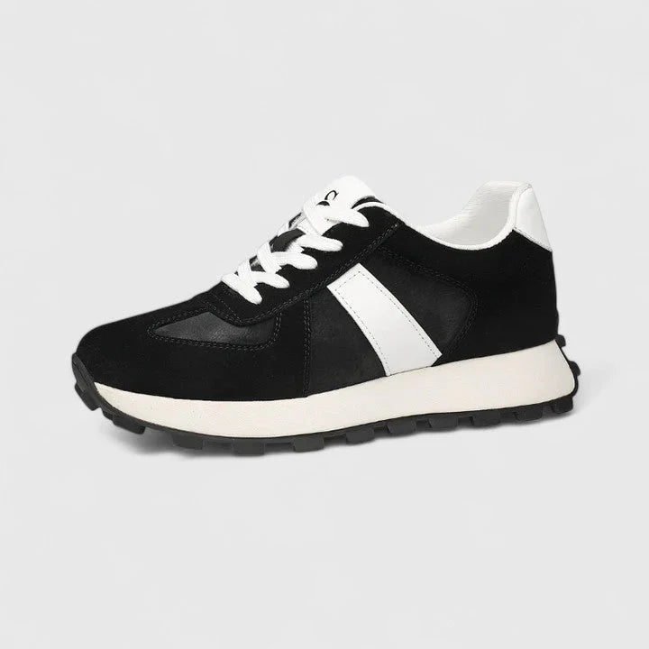 Black / 12