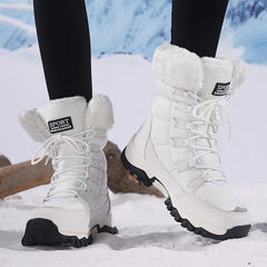 79655703052627